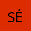 Sérgio_Rodrigues