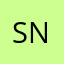 S + N