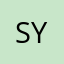 S.H Yeo