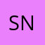 SNW33