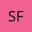 Shiny fox4i3i4it5t