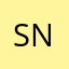 Sinn Ng