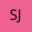 Sj神骏