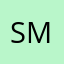 Smart/Car22