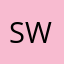 Swooshyk