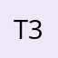 T MAN 335