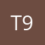 T dog 9999