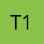 T111t1