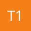 T11234