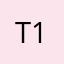T1980G