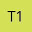 T1994B
