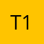 T1DMan1