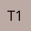T2 1969