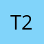 T20099