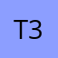 T33B