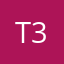T33brain