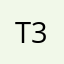 T3T3.23