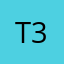 T3bug