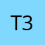 T3ddyebear