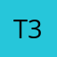 T3mnHendr1x