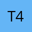 T4P2