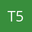 T55(6
