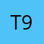 T9-9