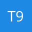 T91691