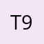 T9889