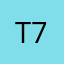 T_7199