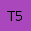 Taygen 555