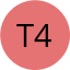 Team 4E