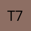 Techie Grammy 77