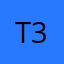 Teesh 303