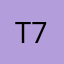 Teflon 7