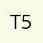 The 3vil 5h4n3