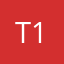 The assassin 12