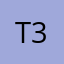 Tommy ford 313