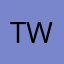 Tsin Wei