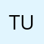 Tun3993