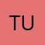 Turresita