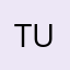 Turroise