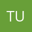 Turtlescrucible