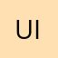 UI有人
