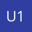 ULTRA 100