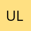 UPPER DENBY D C LTD