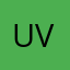 US army vt