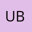 USA-BG