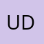 Udtyri