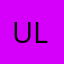 Ulzii.D